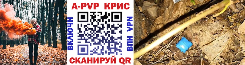 A PVP крисы CK  блэк спрут вход  Сенгилей 
